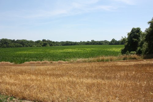 Property photo 14 - AUCTION POSTPONED